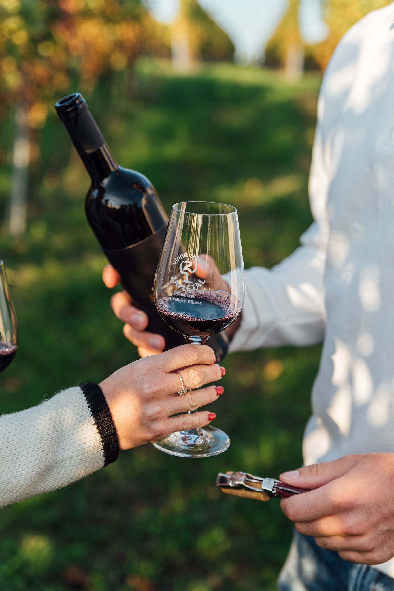 Podzim ve vinohradě