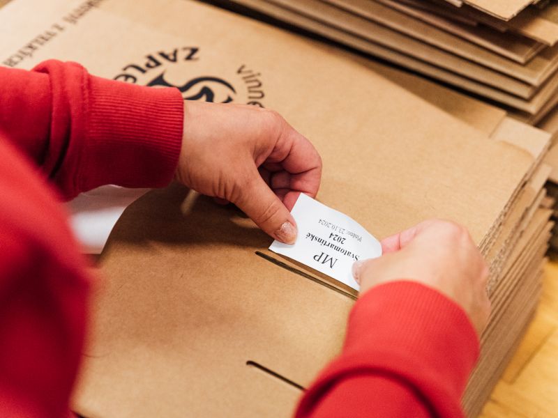 Příprava Svatomartinských a Mladých vín v plném proudu